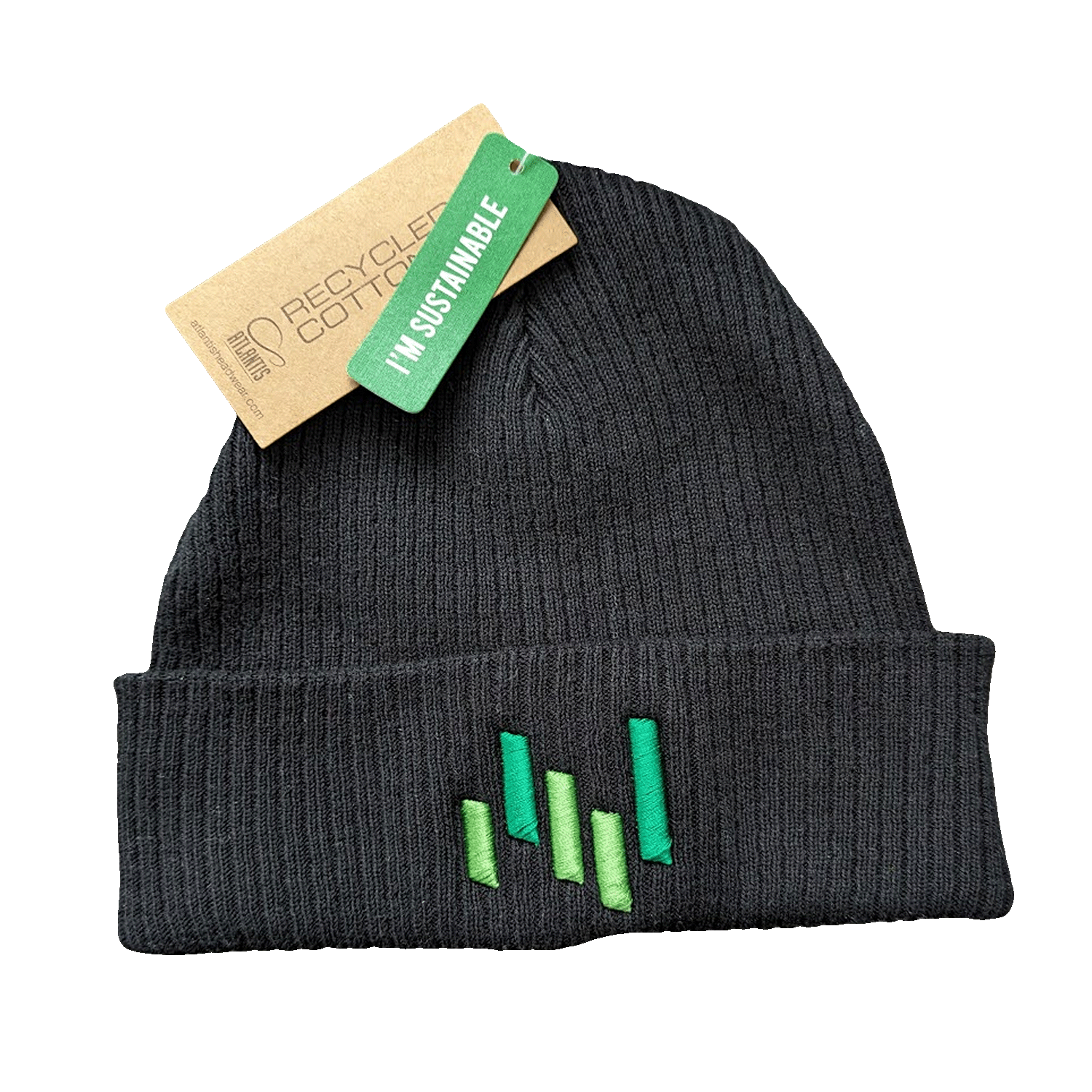 EntMetal Ribbed Beanie