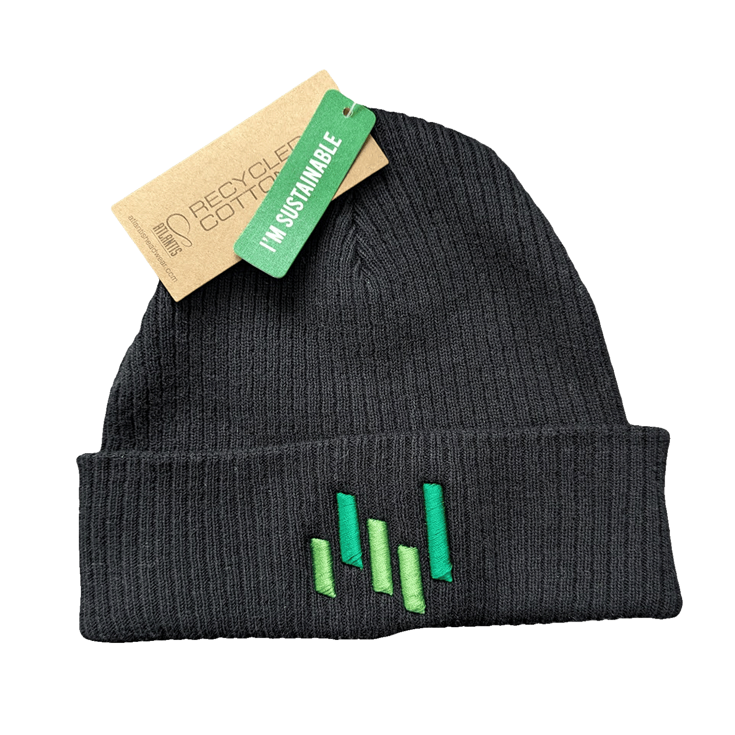 EntMetal Ribbed Beanie